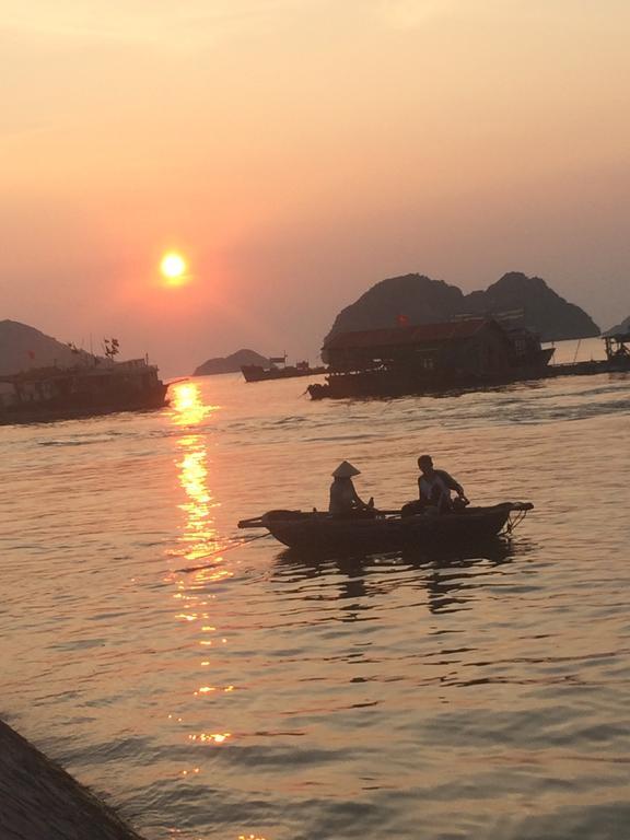 Thanh Tung Hotel カットバ島 エクステリア 写真