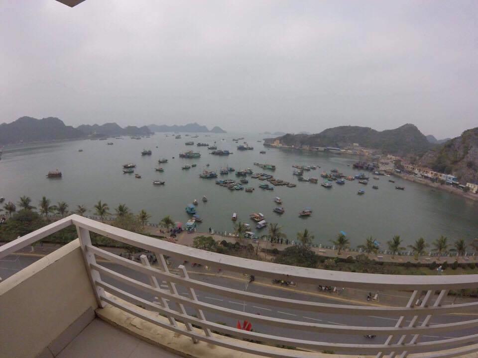 Thanh Tung Hotel カットバ島 エクステリア 写真
